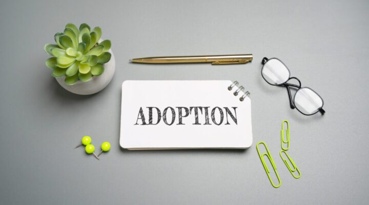 Adopting from Foster Care: Key Steps